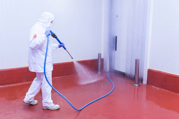 Trusted Wood Dale, IL Pressure Washing Services Experts